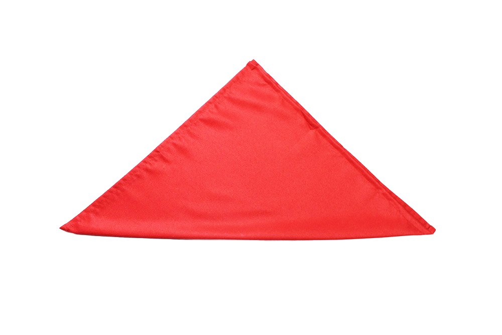 How to Fold the Three-fold Tafelspitz Napkin - Step 2