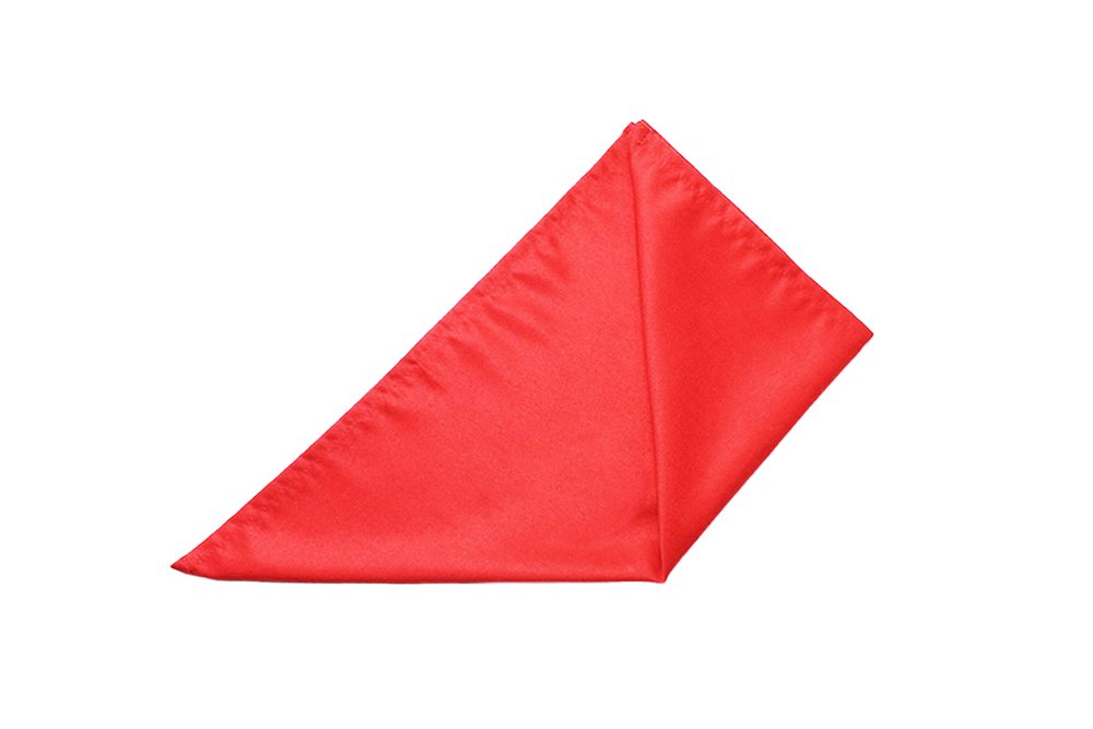 three_fold_tafelspitz_guide_step_4
