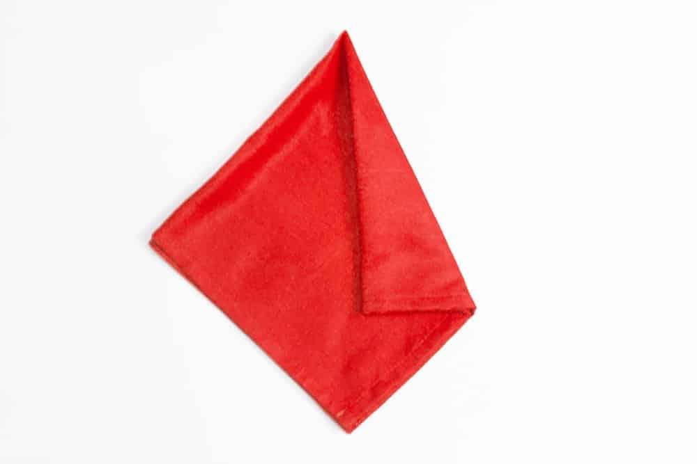 how_to_fold_a_dragon_napkin_step_5