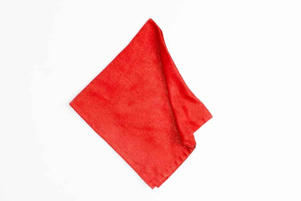 Easy Trifold Napkin Folding - Step 06