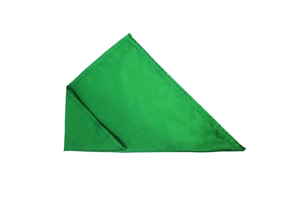 Create an Envelope Style Rectangle Napkin Fold - Step 03