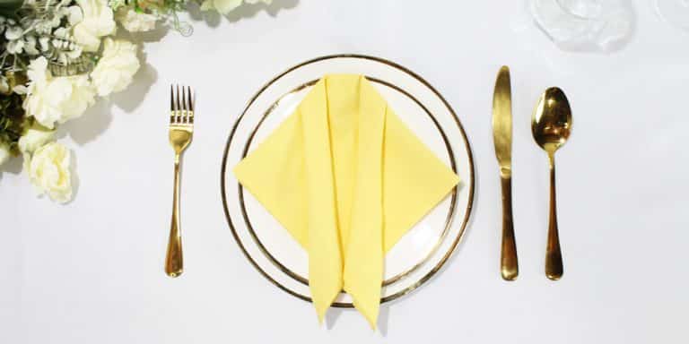 Learn the Easiest and Quickest Way to Make a Shirt Napkin Fold