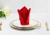 Learn How to Make a Simple Yet Fancy Cardinal Hat Napkin Fold