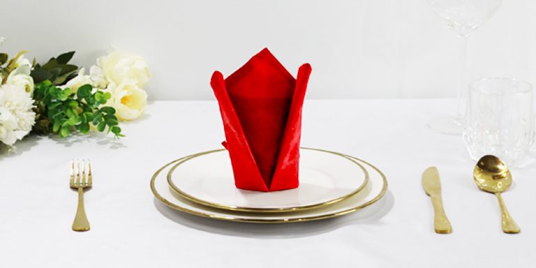Learn How to Make a Simple Yet Fancy Cardinal Hat Napkin Fold