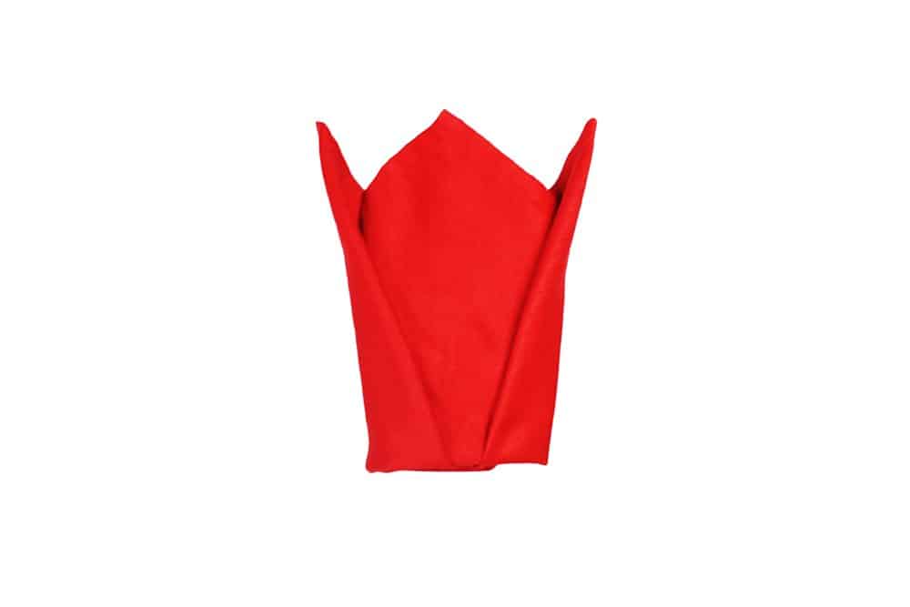 How to Make a Cardinal Hat Napkin Fold - Finish