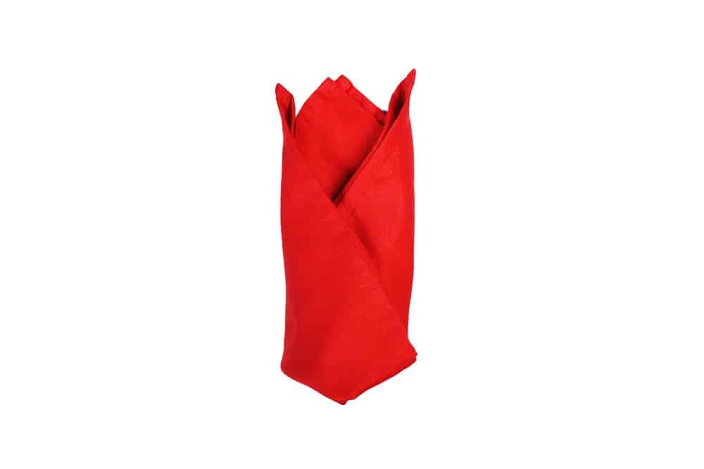 How to Make a Cardinal Hat Napkin Fold - Step 010