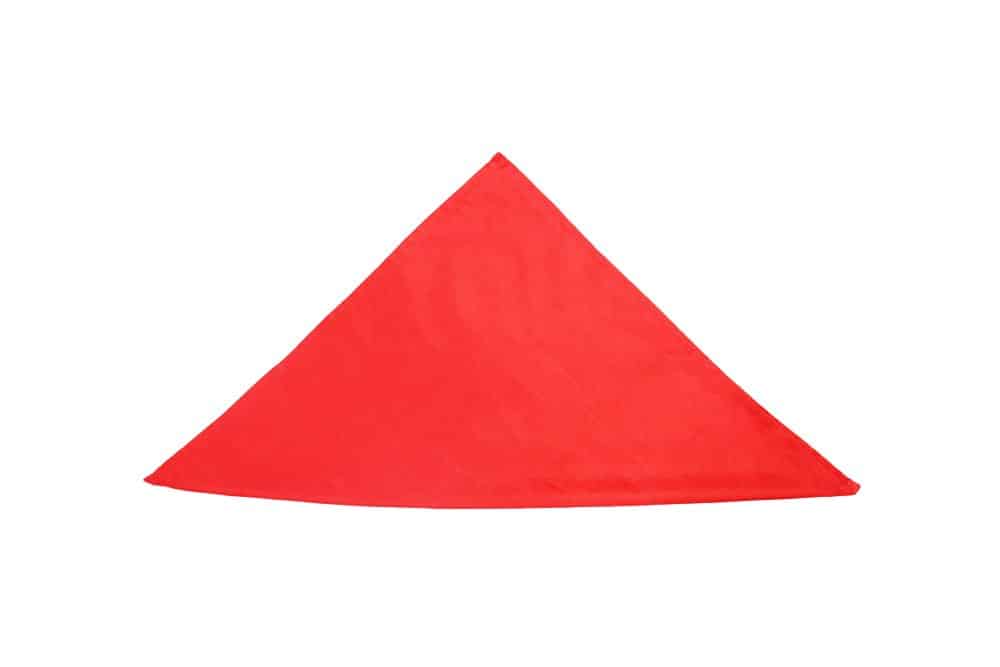 How to Make a Cardinal Hat Napkin Fold - Step 02