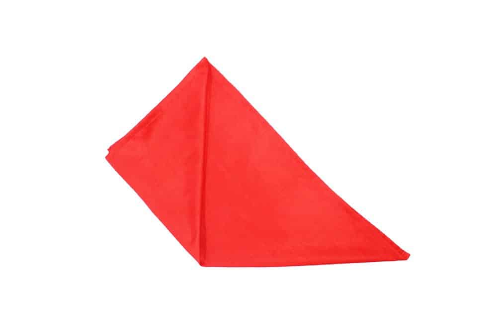 How to Make a Cardinal Hat Napkin Fold - Step 03