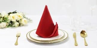 How to Make a Felucca Sailboat Napkin - Featured Image