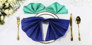 Learn How To Make an Origami Napkin Swan - Featured Image