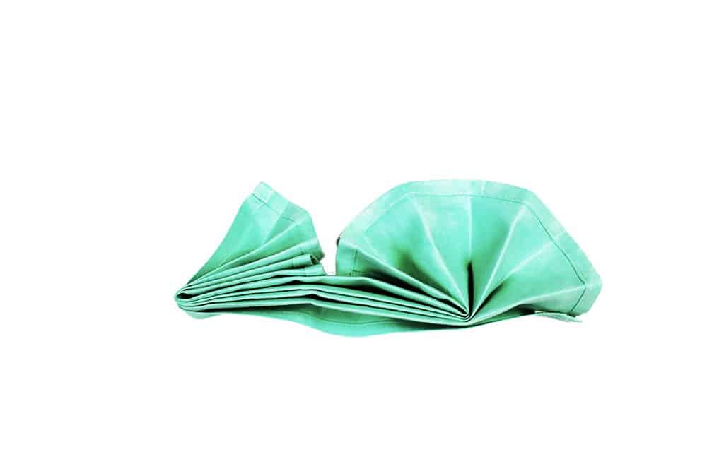 Learn How To Make an Origami Napkin Swan - Step 013