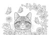 Adult Cat Coloring Page