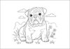 Adorable Bulldog Puppy Coloring Pages