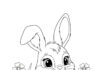 Bunny Picture to Print and Color