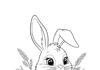 Cartoon Rabbit Coloring Page to Print Out and Color