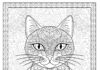 Cat Mandala Coloring Page to Print and Color