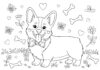 Corgi Dog Coloring Pages: Fun and Free Printables for Kids