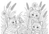 Kitten Coloring Page for Adults to Print and Enjoy