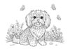 Charming Maltese Dog Coloring Pages for Creative Fun