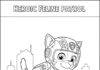 Paw Patrol Cat Coloring Page