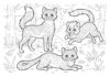 Pinkbunnygirl43 Warrior Cats Coloring Page