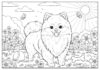 Pomeranian Dog Coloring Pages: Fun and Free Printables