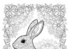 Rabbit Mandala Coloring Page to Print Out and Color