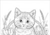 Realistic Kitten Coloring Page