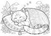Sleeping Cat Coloring Page