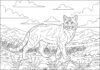 Wild Cat Coloring Page to Print Out and Color
