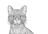 Zentangle Cat Coloring Page to Print and Color