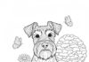 Schnauzer Dog Coloring Pages: Free Printable Fun