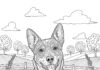 Australian Cattle Dog Coloring Pages for Kids and Adults