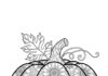 Adult Coloring Page: Pumpkin