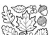 Autumn Leaves and Acorns Coloring Page