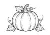 Black and White Pumpkin Coloring Page