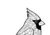 Christmas Cardinal Coloring Page