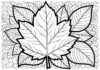 Color Leaf Printable for Kids and Adults