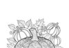 Pumpkin Picture to Print Out and Color