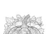 Detailed Pumpkin Coloring Page to Print Out and Enjoy