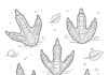 Dinosaur Footprint Coloring Page
