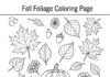 Fall Foliage Coloring Page to Print and Color