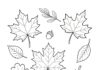 Fall Leaf Clip Art Coloring Page
