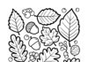 Fall Leaf Coloring Page for Kindergarten