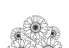 Fall Sunflower Coloring Page to Print Out and Color