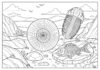 Fossil Coloring Page to Print Out and Color