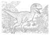 Jurassic World Velociraptor Blue Coloring Page