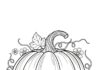Large Pumpkin Coloring Page to Print and Color