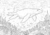 Liopleurodon Picture to Print Out and Color