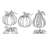 Little Pumpkin Coloring Page to Print Out and Color